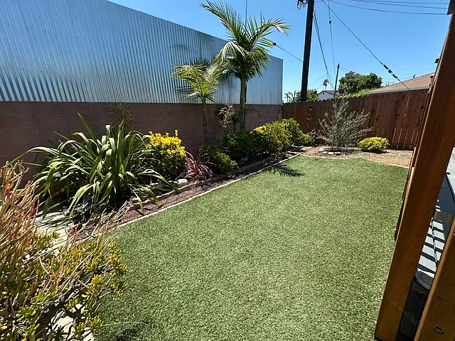 Back yard #1