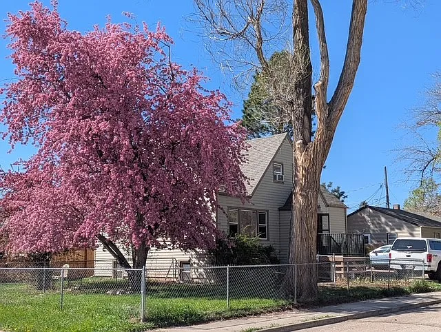 Main House