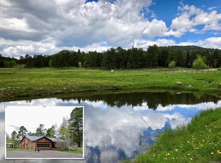 23305 Oehlmann Park Rd, Conifer, CO 80433