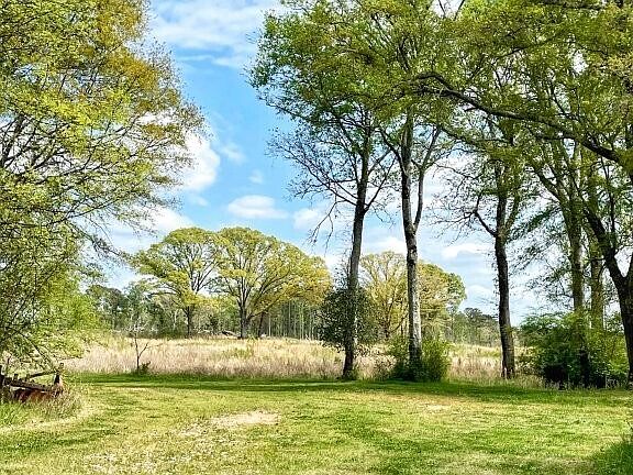 3rd image of 4843 Greer Rd