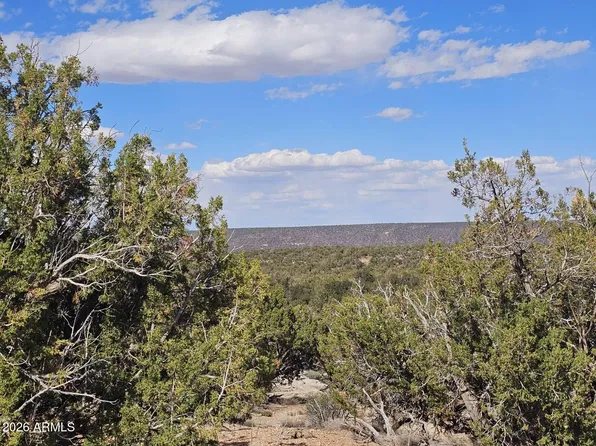 3945 VALLEY Road #749, Snowflake, AZ 85937