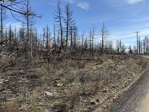 2nd image of Hummingbird Dr #1