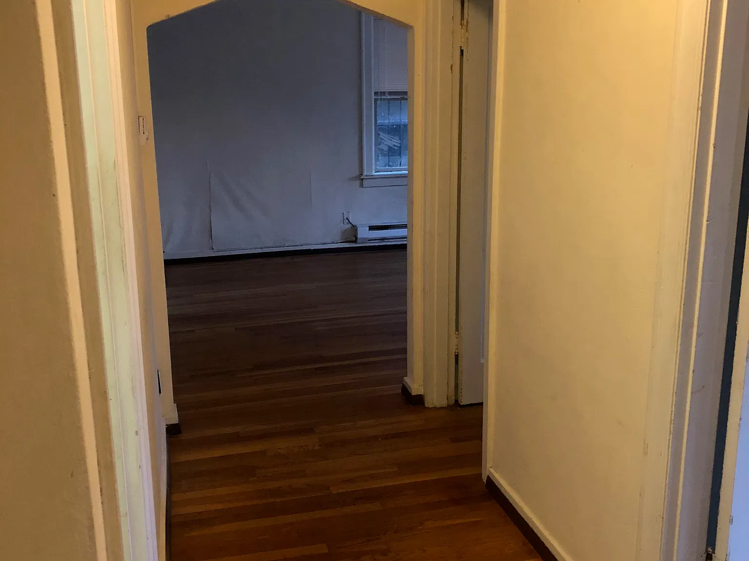 1 bed, 880 sqft, $1,650 — Photo 4