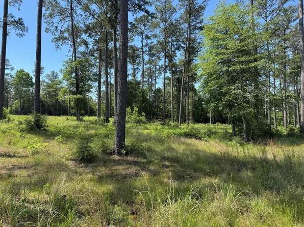 6 Private Road 6028 Tract Lot 6, Brookeland, TX 75931