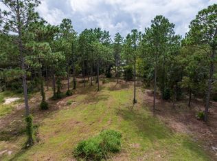 Lake Tropicana Ranchettes 4th #A-LOT 6, Dunnellon, FL 34432