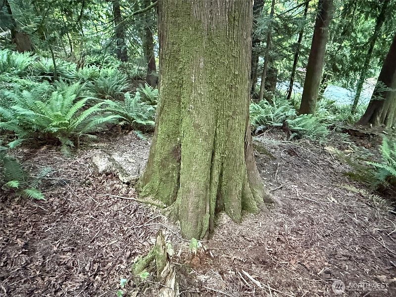 5th image of 767 West Road