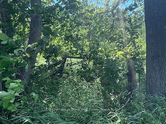 3rd image of 0 Balsam Lake Dr