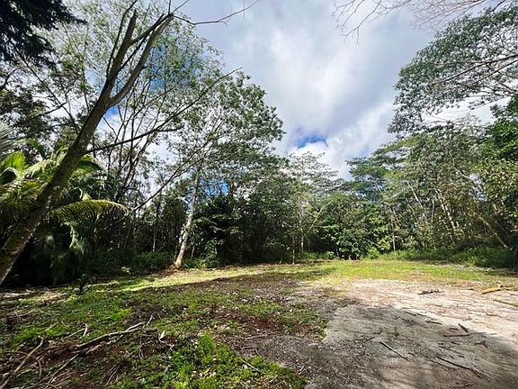 5th image of 13-3445 Kumakahi St Lot 7