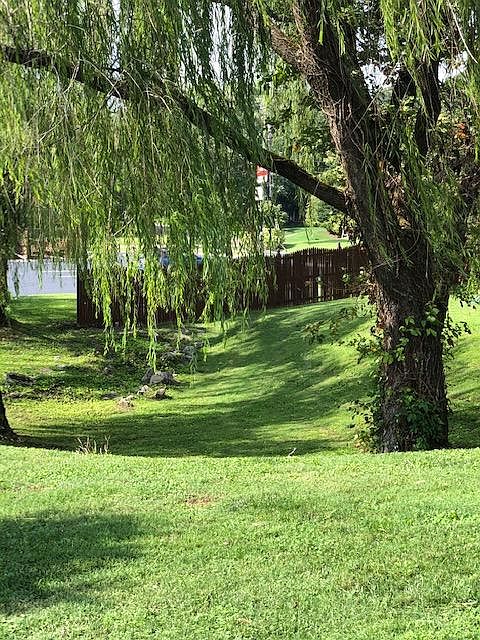 2nd image of 1137 Andrew Brook Ln