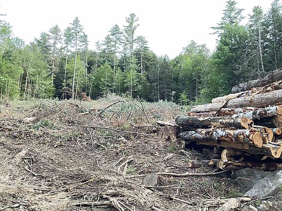 5th image of Masterson Road