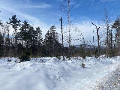 Lot 2 Chase Road, Parsonsfield, ME, 04047