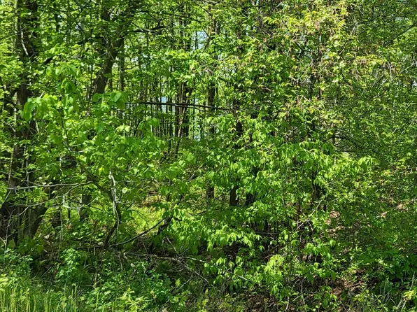 Xxx 207th St, Dresser, WI 54009