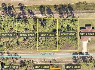 1117 Capri St E, Lehigh Acres, FL 33974