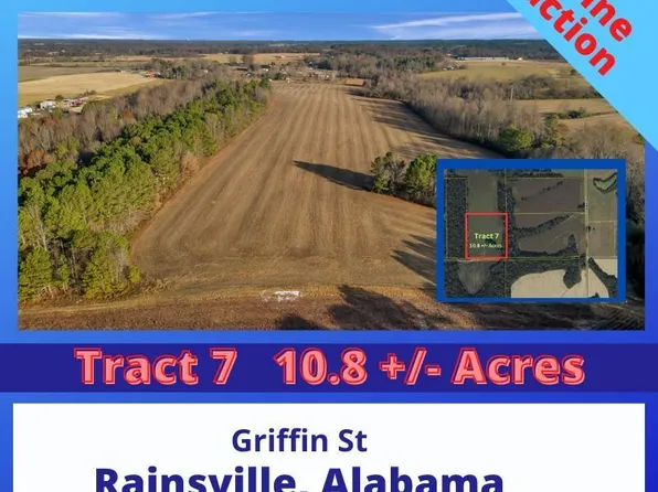 7 Griffin St, Rainsville, AL 35986