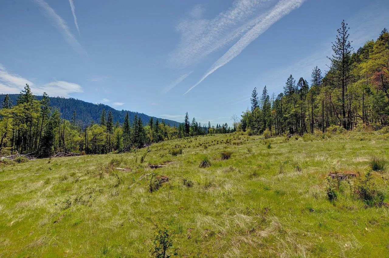 40999 Highway 62 photo 1