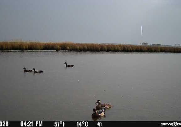 3rd image of 3241 Robbins Rd