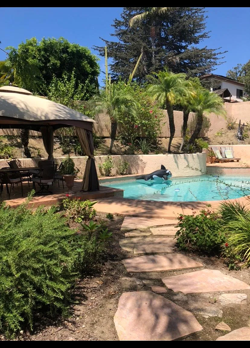 7009 El Fuerte St — Photo 3