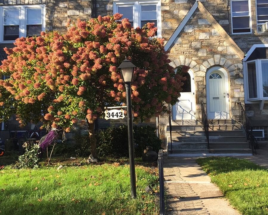 1st image of 3442 Oakmont St