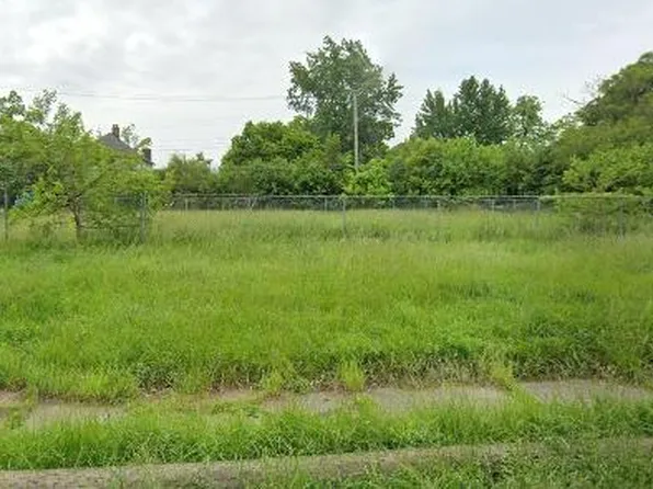 2955 Blaine St, Detroit, MI 48206