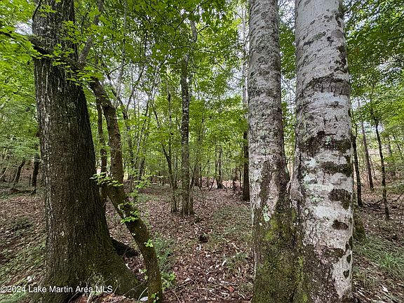 5th image of 4184/- Acres On Al Hwy #50