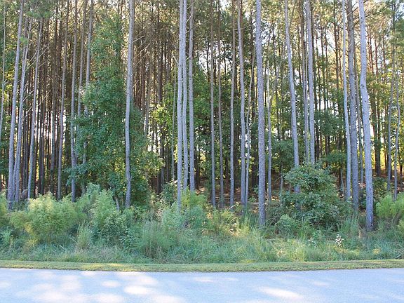 3rd image of Clouds Creek Cir