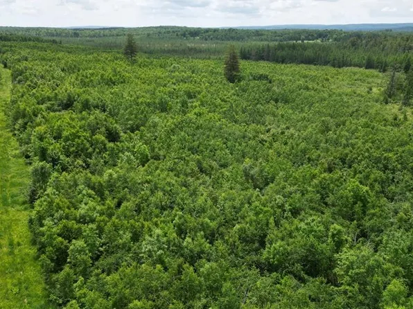 80 Acres Off of Highway 40, Radisson, WI 54867