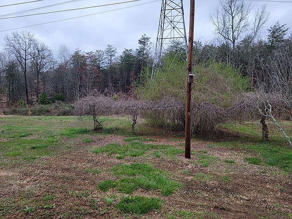 View from the back porch