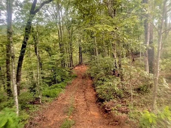 1111 Bridge Rock Rd, Mc Kee, KY 40447