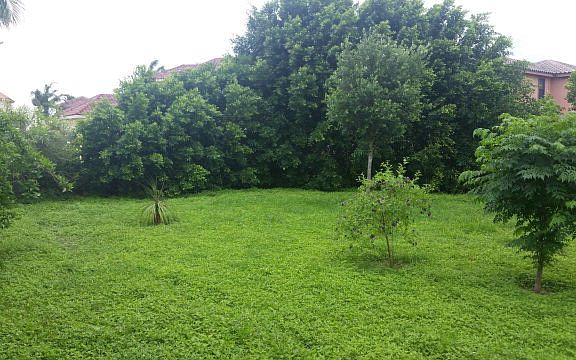 5th image of 1815 Ector Dr