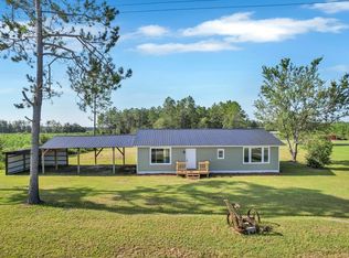 4227 Wpa Rd, Blackshear, GA 31516