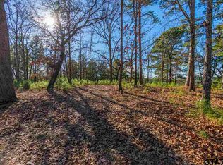 Easy St, Flint, TX 75762