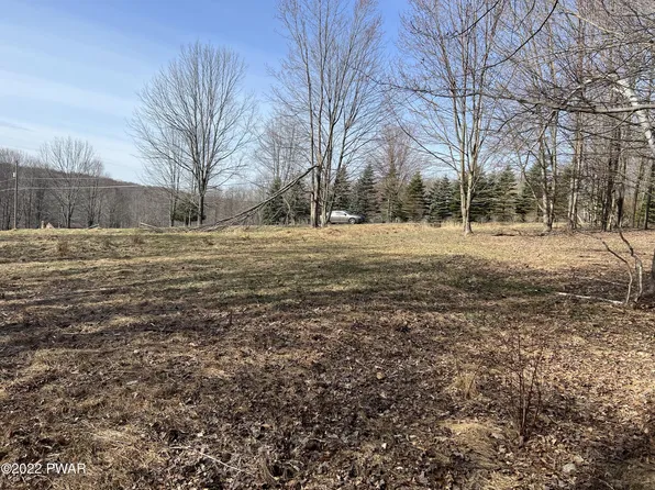 701 Black Bear Rd, Lake Ariel, PA 18436