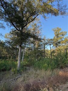 Highway #442, Tickfaw, LA, 70466