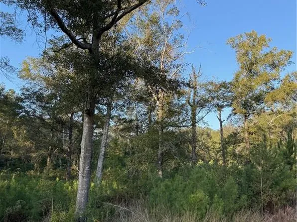 Highway #442, Tickfaw, LA 70466