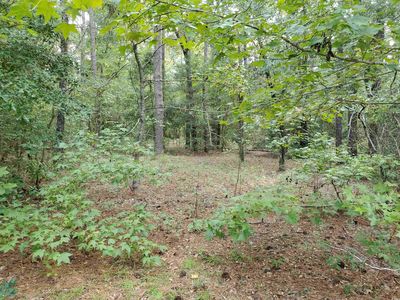 lot 16 Lendrim Lake Dr., Conway, SC, 29526