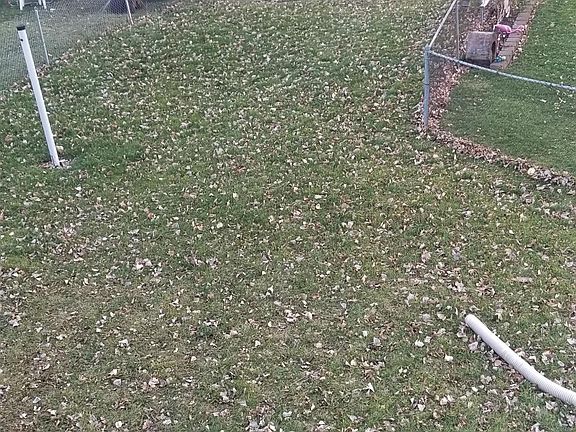 Back yard from deck, fully fenced