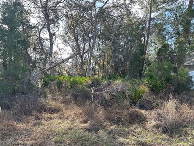 240 Elm Ct Lot 2, Kissimmee, FL, 34759