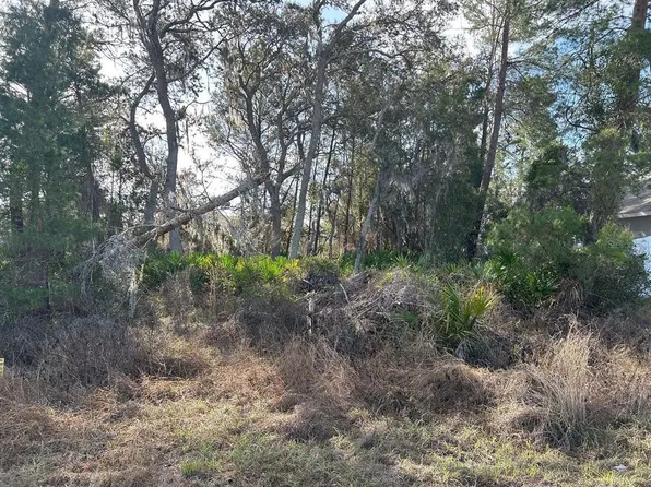 240 Elm Ct Lot 2, Kissimmee, FL 34759