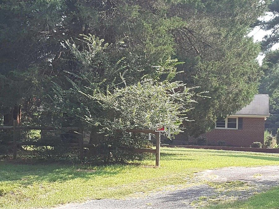 2nd image of 5299 Old Blounts Creek Rd