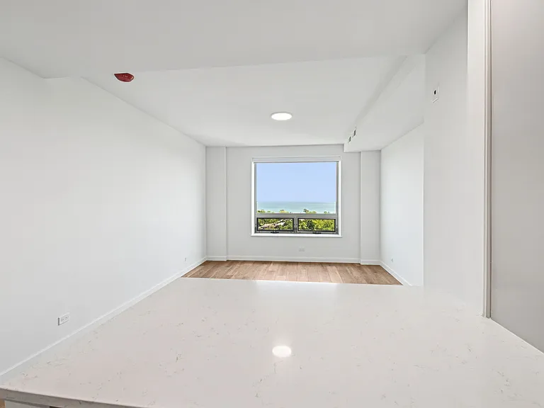 The Nest at Lincoln Park West — Photo 93
