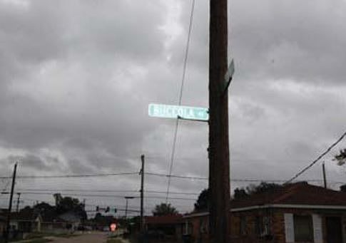 4th image of 1701 Buccola Ave