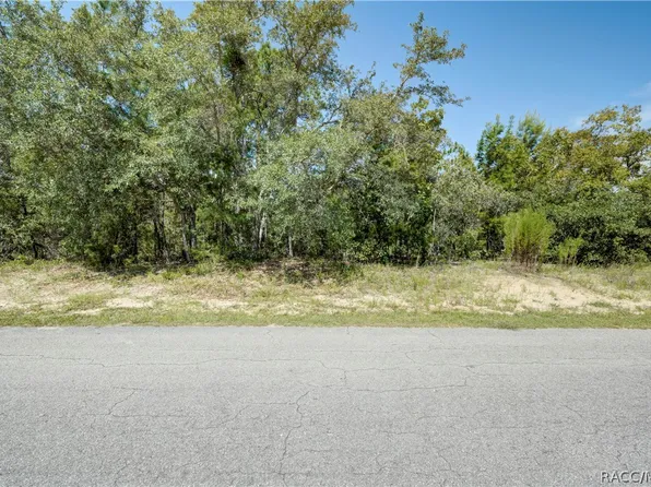 9 Candytuft Ct, Homosassa, FL 34446