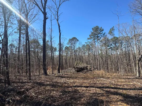 0 Rosser Lane Boundary Division Tract Lot 1-7&8, Mc Calla, AL 35111