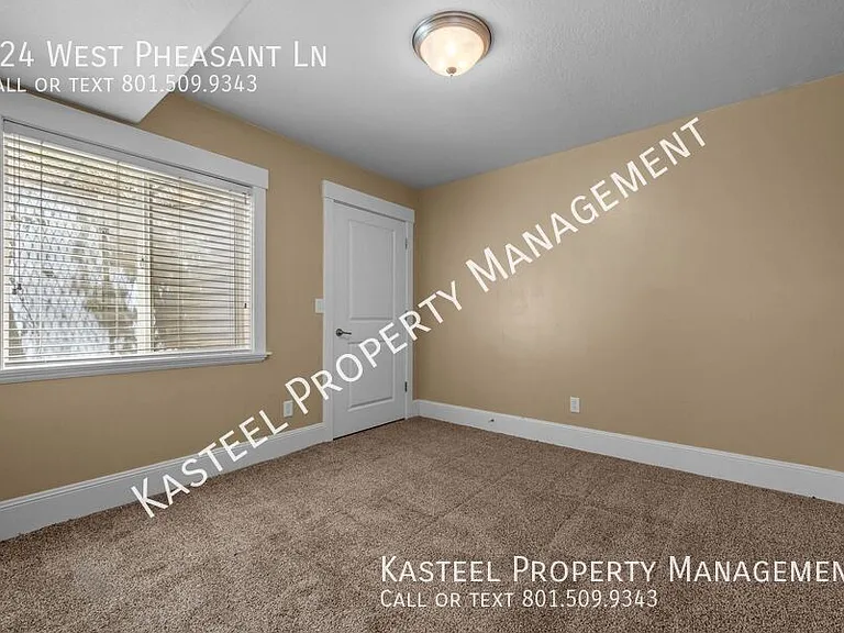 924 W Pheasant Ln — Photo 18