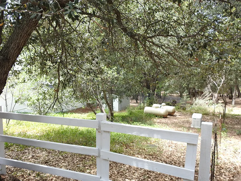 5041 Pine Ridge Ave — Photo 21