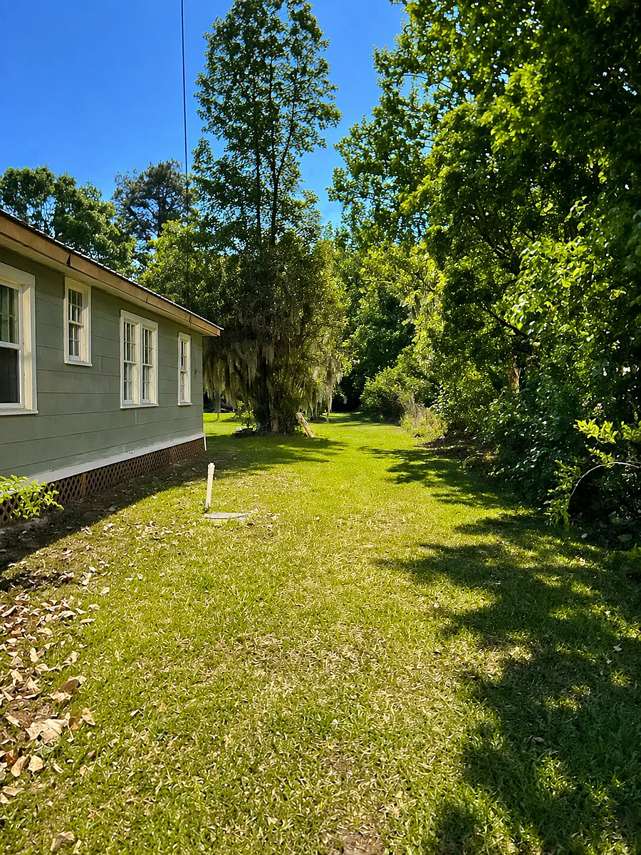 Exterior - yard - 409 Cherry St