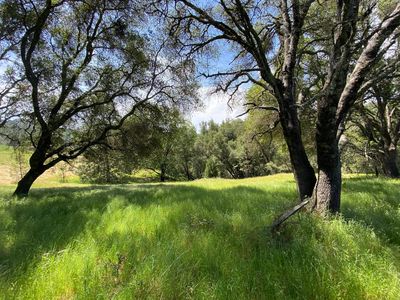Tiger Lily Rd, Pilot Hill, CA, 95664