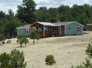202 Spring Rd, Cotopaxi, CO 81223