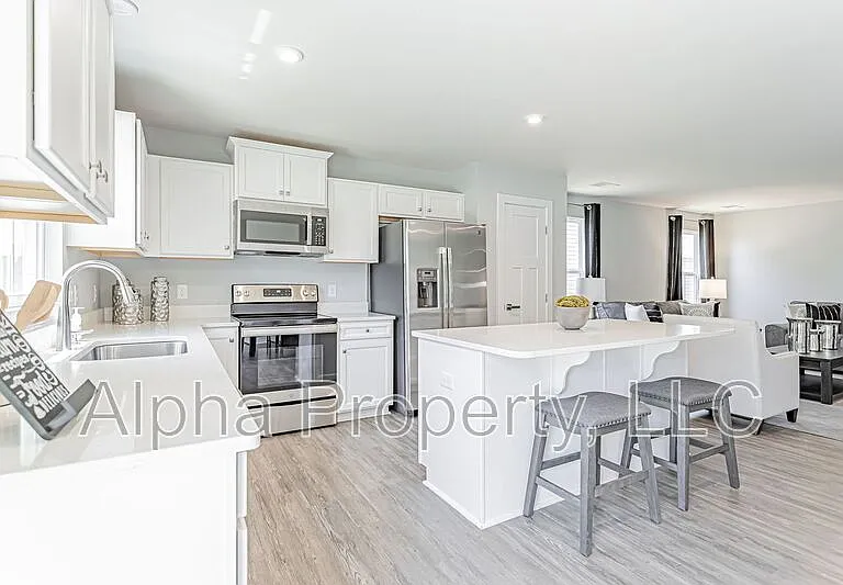 505 Olivia Springs Dr — Photo 12