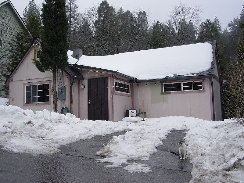snowy january